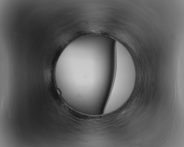 X0000094430595200711081020