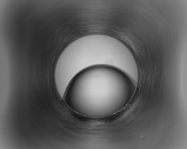 X0000094430597200711081020