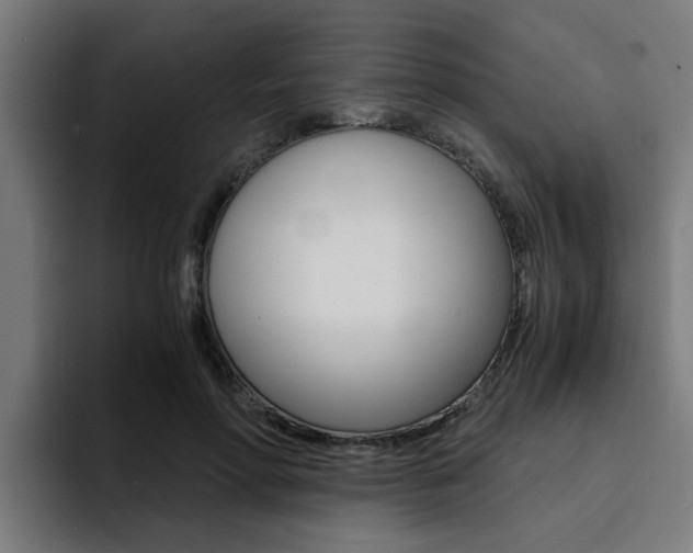 X0000094430598200711081020