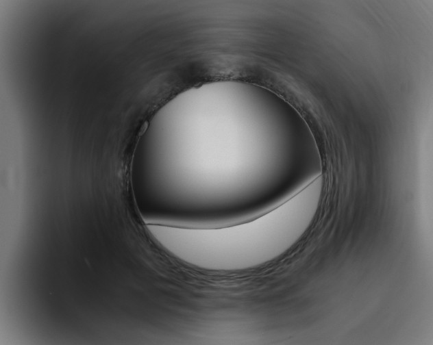 X0000094430601200711081020