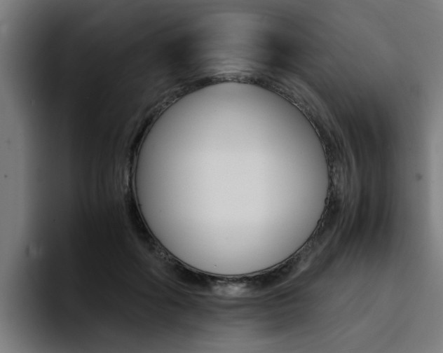 X0000094430602200711081020