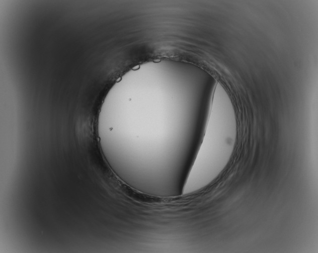 X0000094430603200711081020