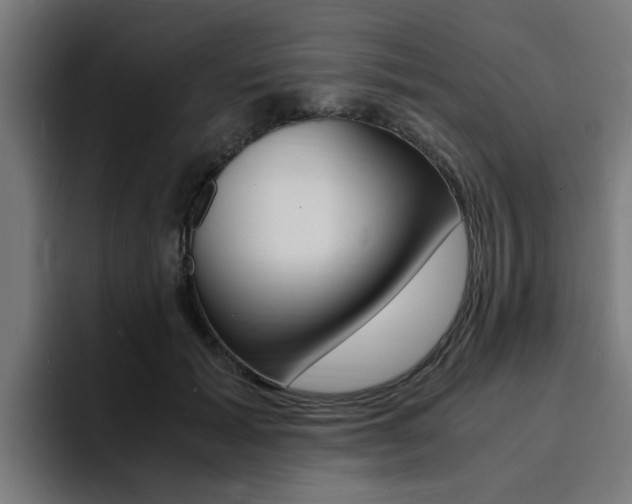 X0000094430605200711081020