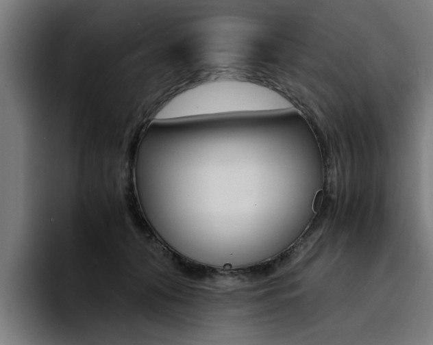 X0000094430608200711081020