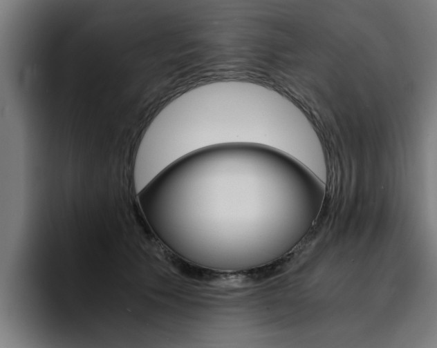 X0000094430609200711081020