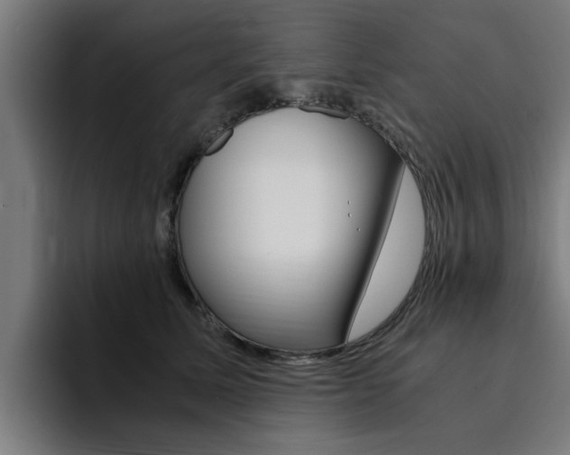X0000094430611200711081020