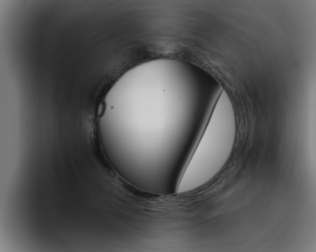 X0000094430612200711081020
