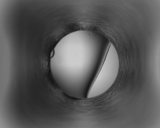 X0000094430615200711081020
