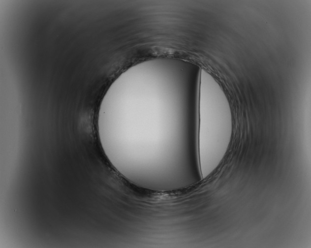 X0000094430616200711081020