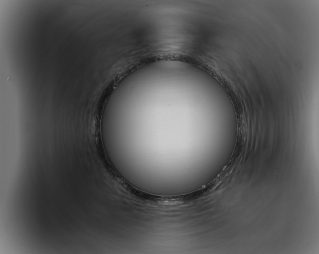 X0000094430619200711081020