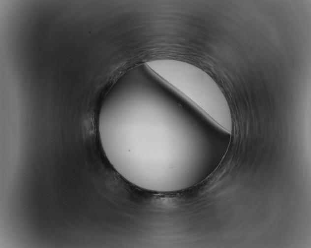 X0000094430620200711081020