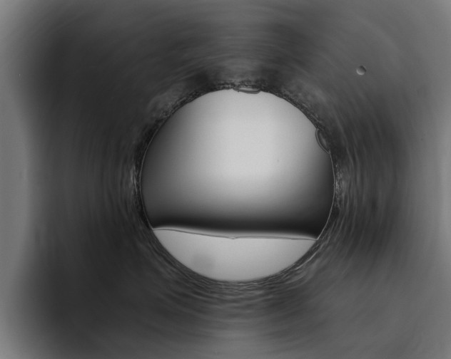 X0000094430623200711081020