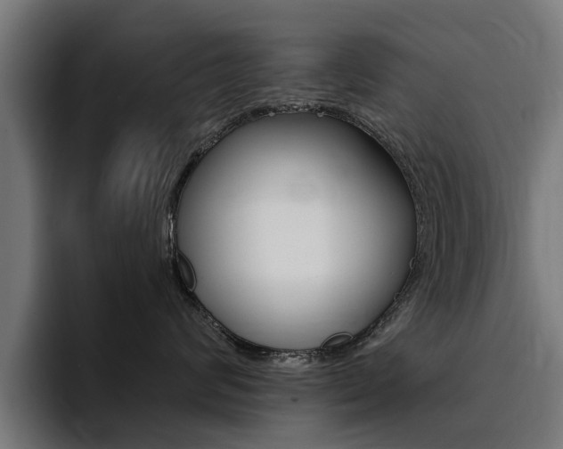 X0000094430624200711081020