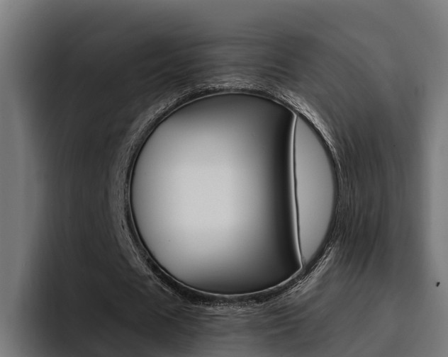 X0000094430625200711081019