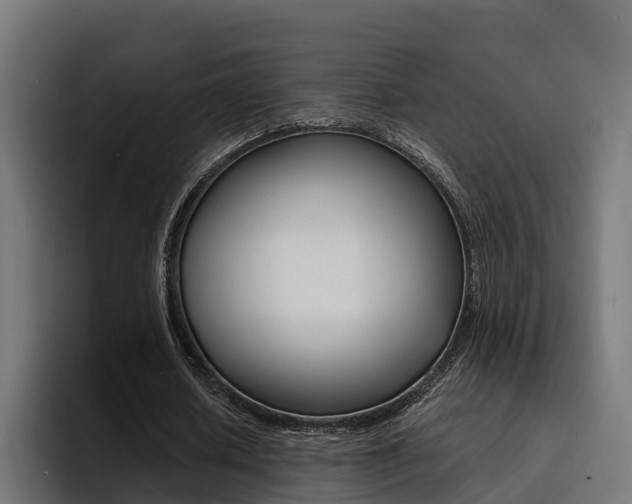 X0000094430626200711081019