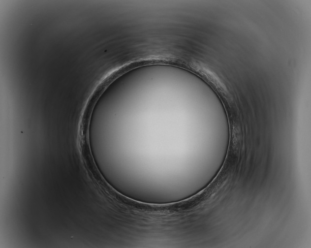 X0000094430628200711081019