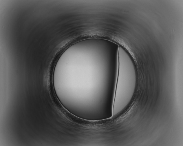 X0000094430629200711081020