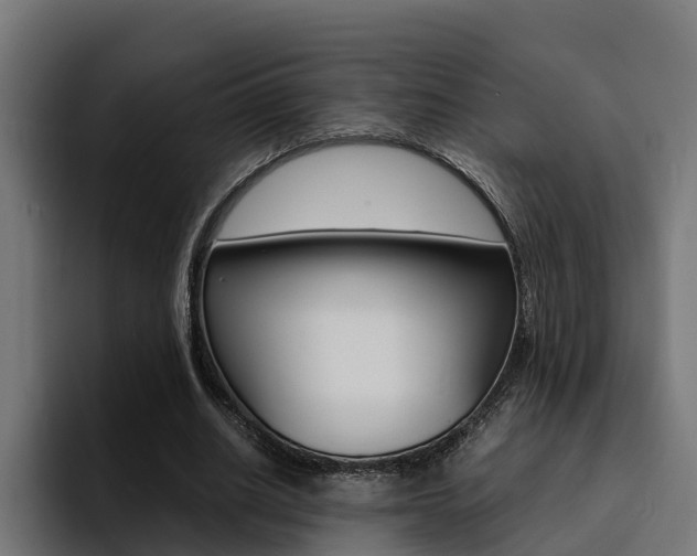 X0000094430630200711081020