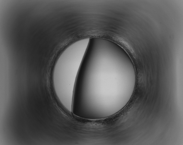 X0000094430633200711081020