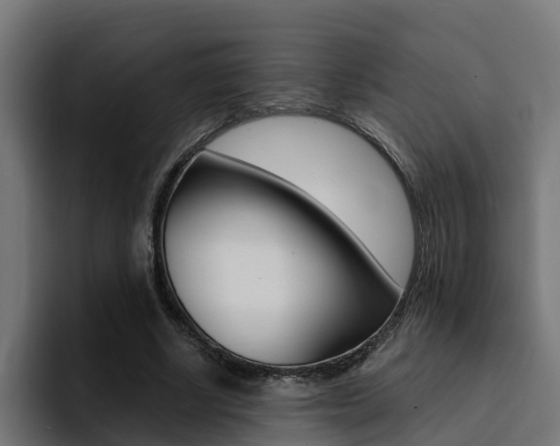 X0000094430634200711081020