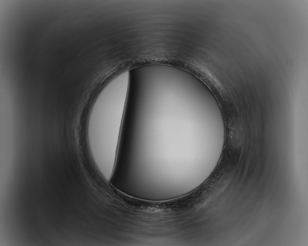 X0000094430635200711081020