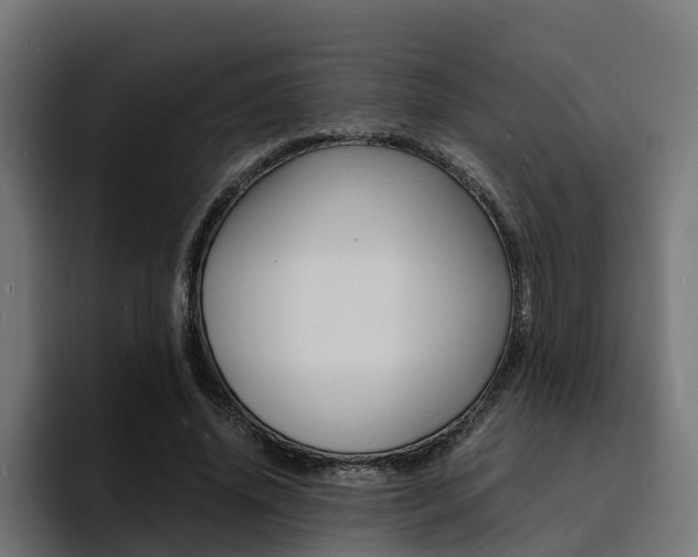 X0000094430636200711081020