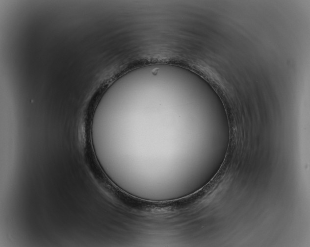 X0000094430638200711081020