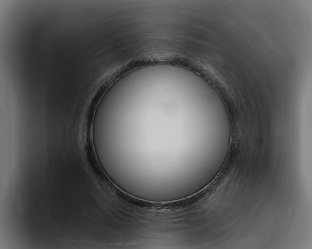 X0000094430640200711081020