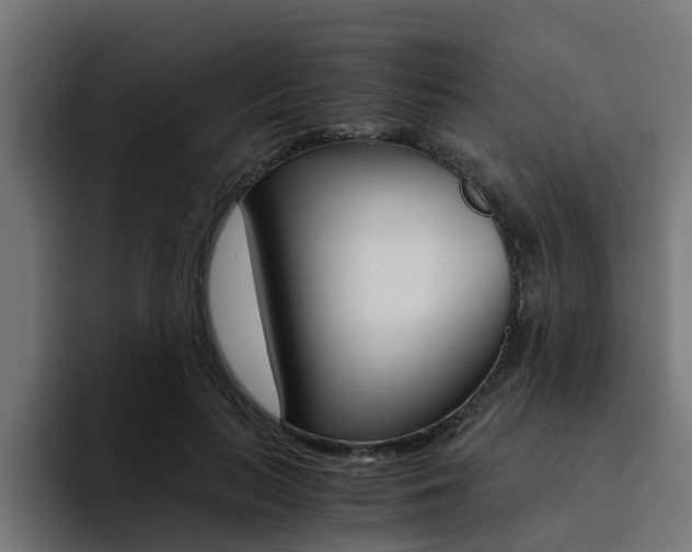 X0000094430647200711081020