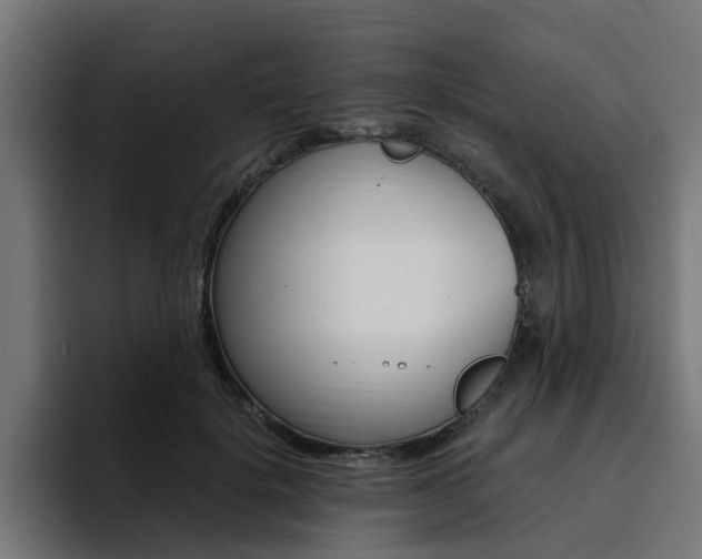 X0000094430652200711081020