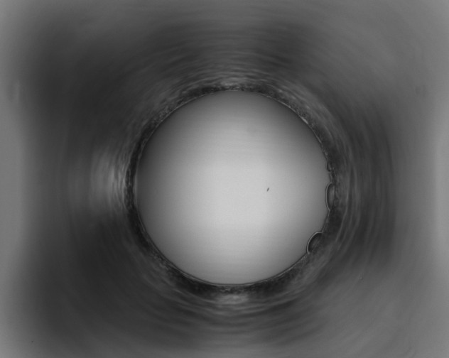X0000094430653200711081020