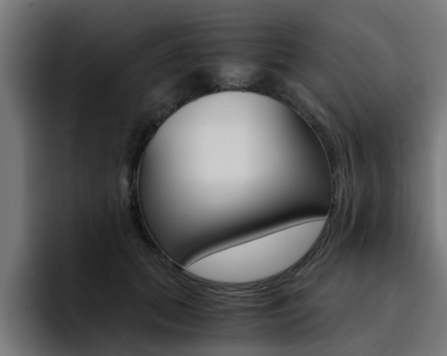 X0000094430655200711081020