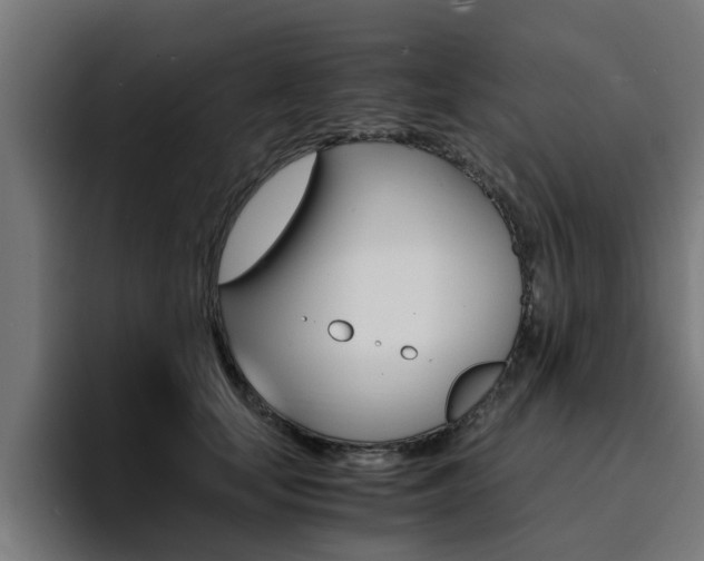 X0000094430659200711081020