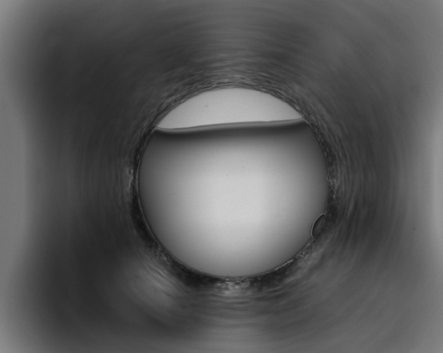 X0000094430660200711081020