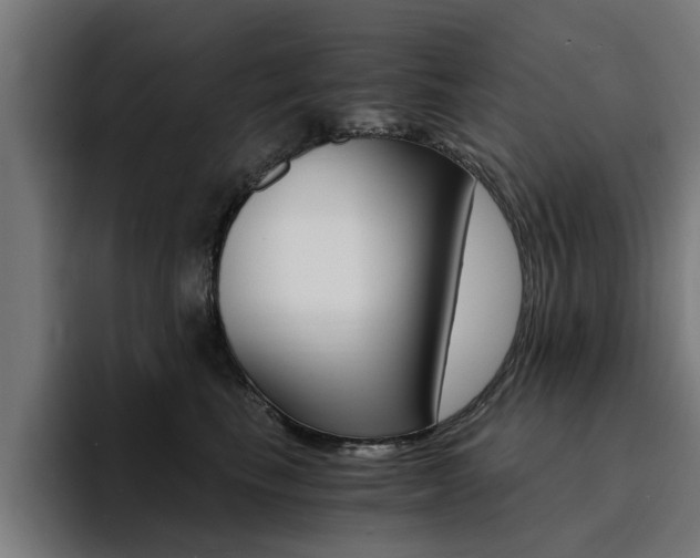 X0000094430665200711081020
