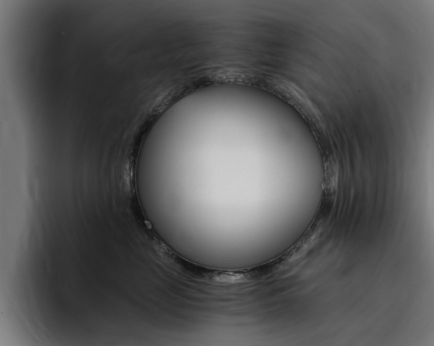 X0000094430669200711081020