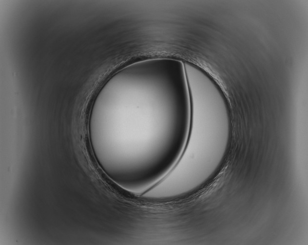 X0000094430673200711081019