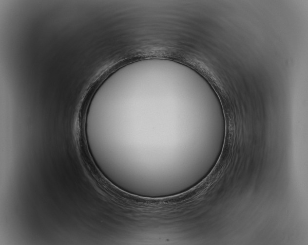 X0000094430674200711081019
