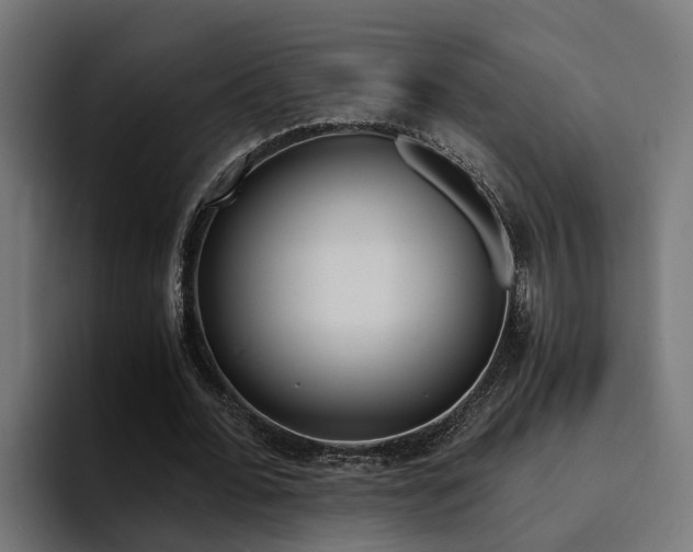 X0000094430676200711081019