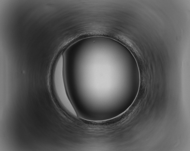 X0000094430677200711081019