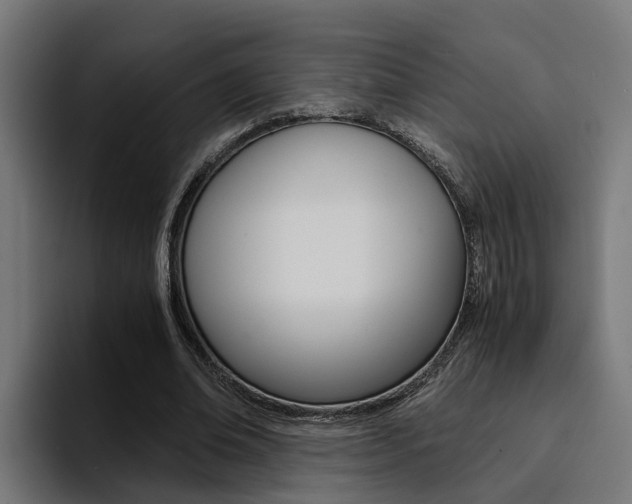 X0000094430678200711081019