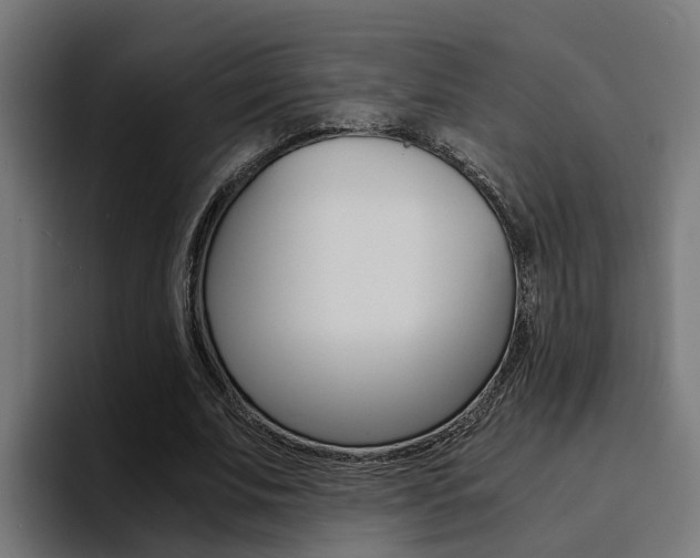 X0000094430679200711081019