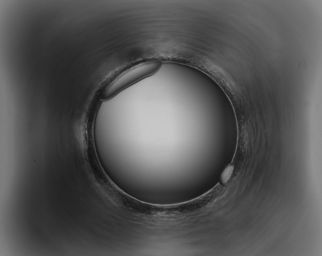 X0000094430680200711081019