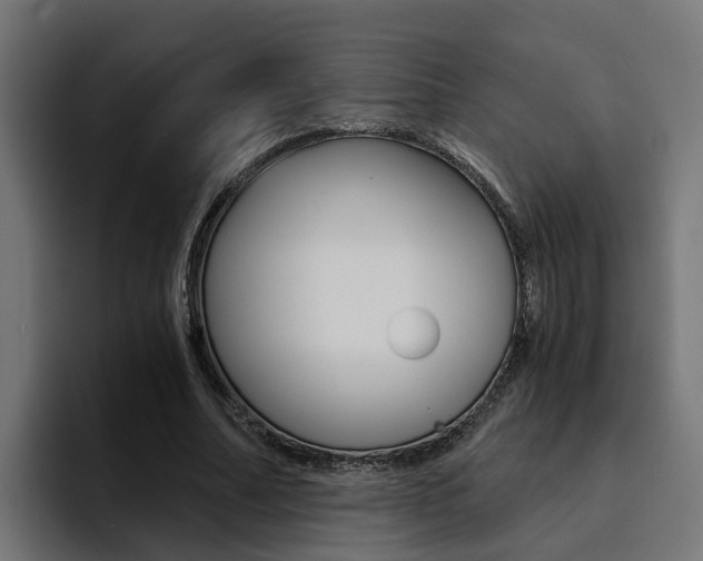 X0000094430682200711081019