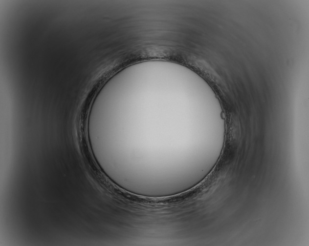 X0000094430683200711081019