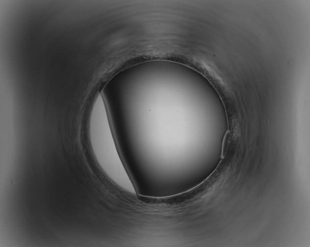 X0000094430685200711081019