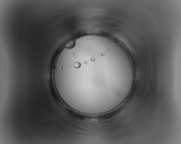 X0000094430687200711081019