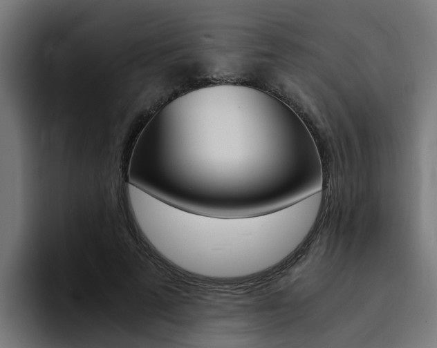 X0000094430689200711081019