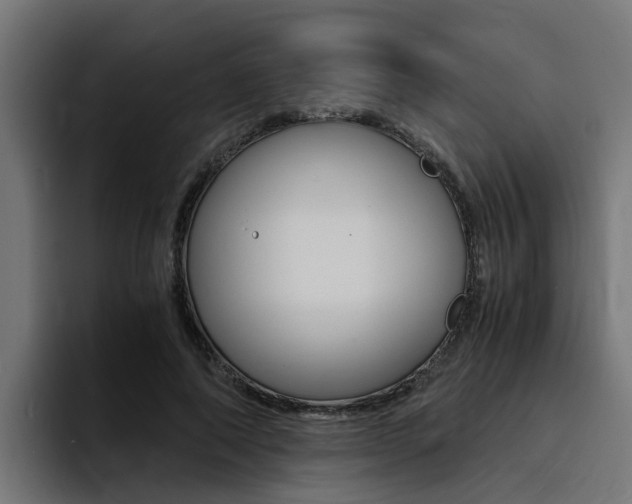 X0000094430690200711081019