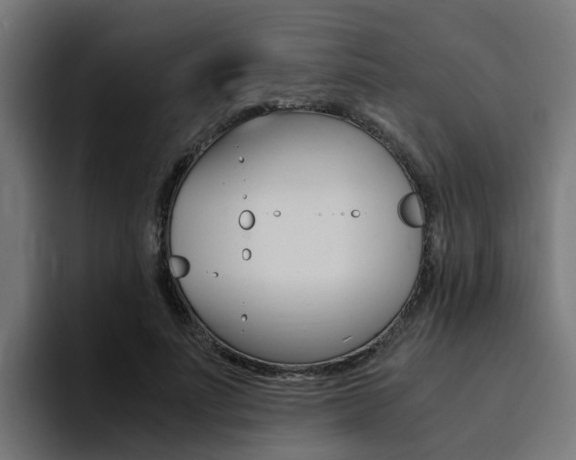 X0000094430691200711081019